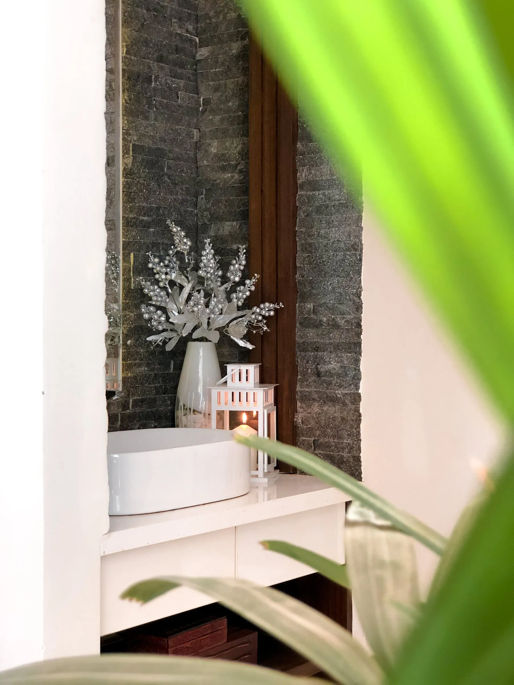 White basin against a dark stone wall with a plant