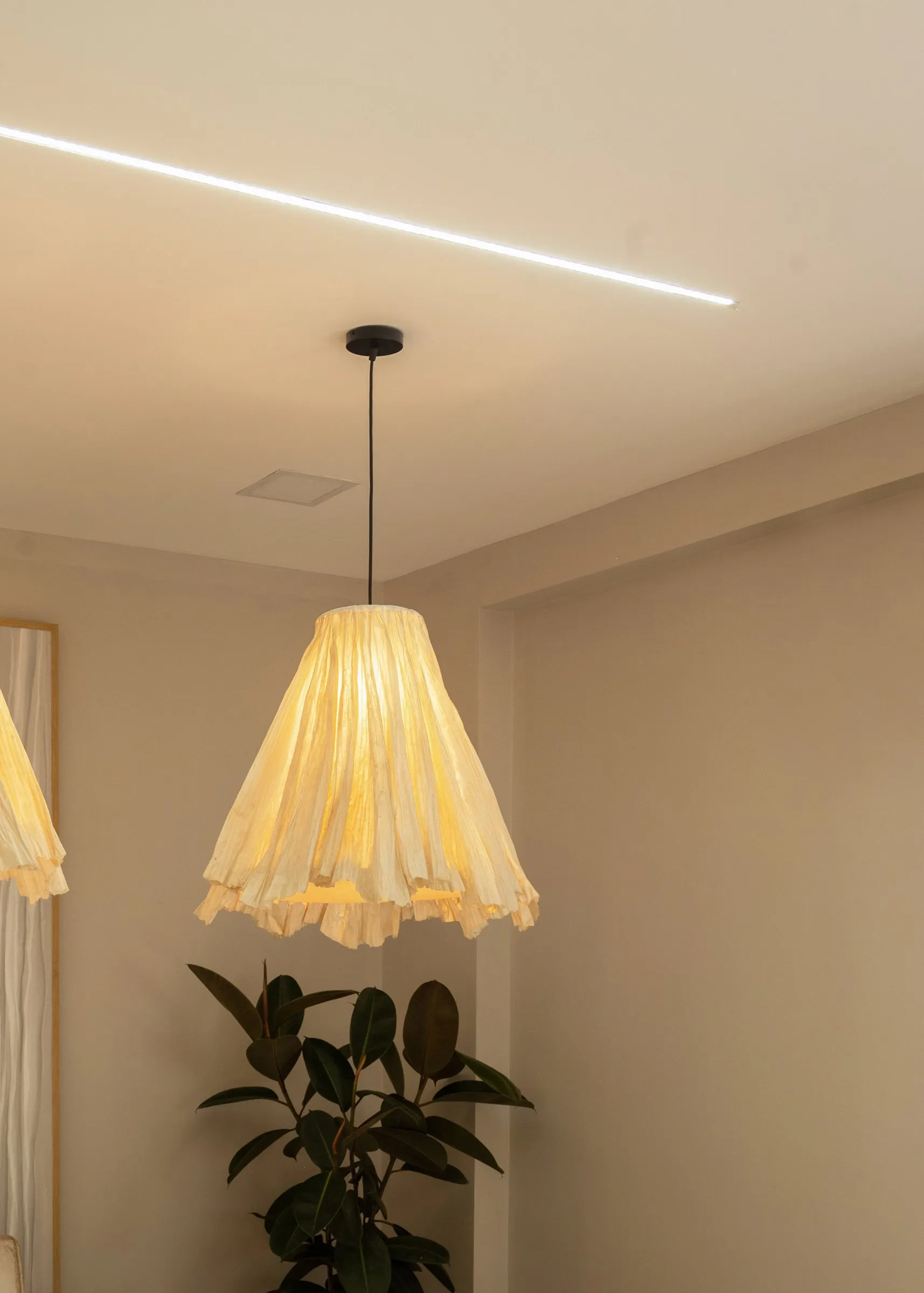 Pleated paper pendant lamp above a rubber plant